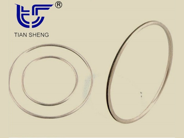 Металлическое уплотнительное кольцо TS G90 С-образной формы.