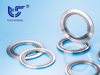 TS N8101 (SELEX®) Металлографитовая прокладка