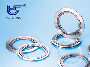 TS N8101 (SELEX®) Металлографитовая прокладка