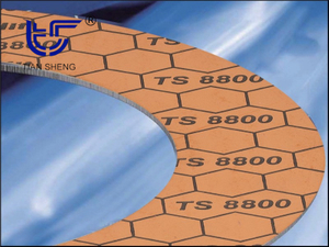TS G8800 безасбестовая графитовая прокладка